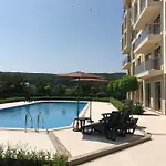 Sunny In Shartrez *
